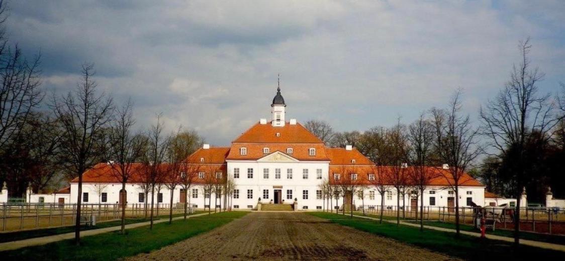 Internat Schloss Spiegelberg Neustadt  Exterior foto
